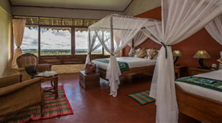 Simba Lodge